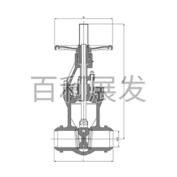 900磅级闸阀