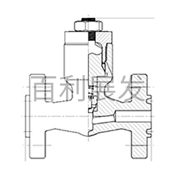 自密封法兰止回阀